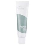 ISNTREE Mugwort Calming Cream (50ml)