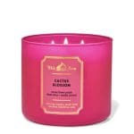 WHITE BARN Cactus Blossom 3-Wick Scented Candle (14.5 oz)